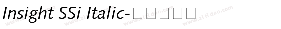 Insight SSi Italic字体转换